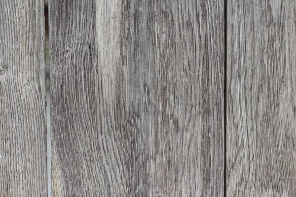 木のテクスチャの詳細の古い樹皮 — ストック写真