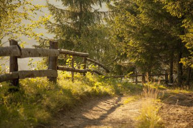 Ismarlayarak güneş ışığı altında parlayan dağlar yol. DRA