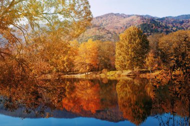 Güzel doğa manzara, sonbahar göl manzarası inanılmaz. Altın sonbaharın sihirli renkler. Nefes kesen duvar kağıdı.