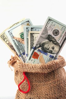 dolar, ekonomik büyüme ve başarı (Ayrıntılar sembolü olarak çantada)