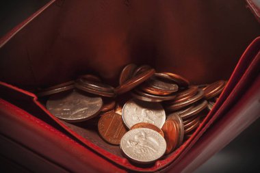 Başarı ve mutluluk iş bir sembolü olarak Cüzdan şanslı paralar