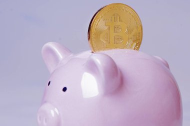 Altın bitcoin para. Dijital kripto para sikke bitcoin işaret (zenginlik, para, başarı kavramı ile yakın çekim)