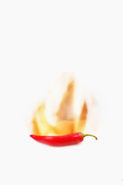 Röd varm paprika på vit bakgrund — Stockfoto