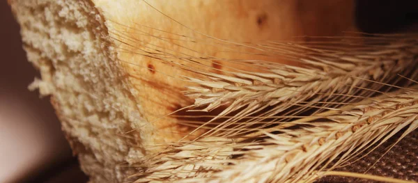 Pão Trigo Orelhas Detalhes — Fotografia de Stock