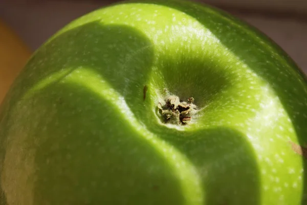 Les Bioproduits Comme Symbole Santé Humaine — Photo