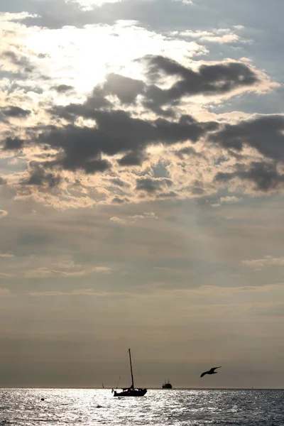 Żaglowce Warnemünde Rostock Niemcy — Zdjęcie stockowe