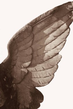 melek (heykel parçası Wings)