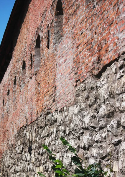 Las Ruinas Del Castillo Del Siglo Xvi Lviv Ucrania —  Fotos de Stock