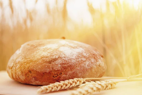 Frisch Gebackene Brote Gegen Weizenfeld Sonnenlicht Industrie Lebensmittel Agrarkonzept — Stockfoto