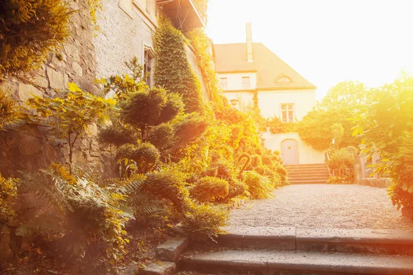 Fragment Romantic Alley Medieval Castle — Stock Photo, Image