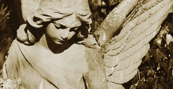 Sztuka Obrazu Smutny Anioł Cmentarzu Tle Liści Szczegóły — Zdjęcie stockowe