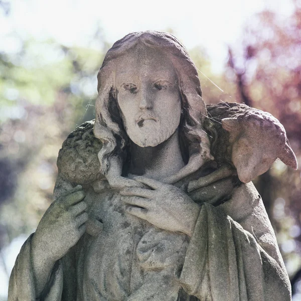 Jesus Cristo Bom Pastor Composição Arte Detalhes — Fotografia de Stock