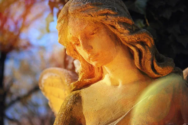 Скульптура золотого ангела с крыльями (Религия, вера, христианство — стоковое фото