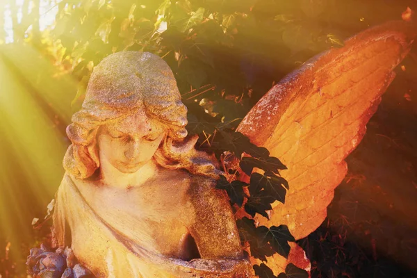 Antike Statue Des Goldenen Engels Sonnenlicht — Stockfoto