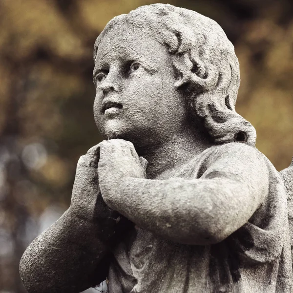 Figure Praying Angel Cemetery — Stock Photo, Image