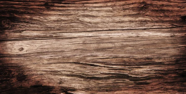 Casca Velha Detalhe Textura Árvore — Fotografia de Stock