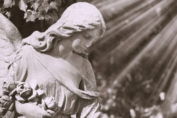 Imagem Vintage Anjo Triste Cemitério Contra Fundo Das Folhas — Fotografia de Stock