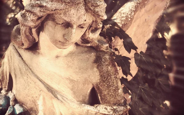 濃い葉の背景に太陽の光に照らされた黄金の天使の像の雄大な眺め 劇的な珍しいシーン 美の女神 レトロなフィルターとビンテージ スタイル — ストック写真