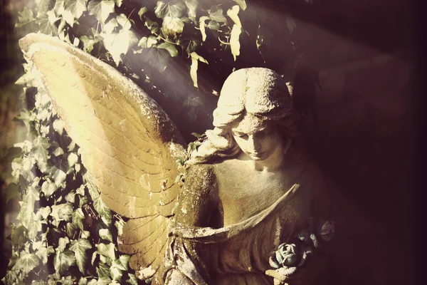 Antique Statue Angel Sunlight Image Vintage Styled — Stock Photo, Image