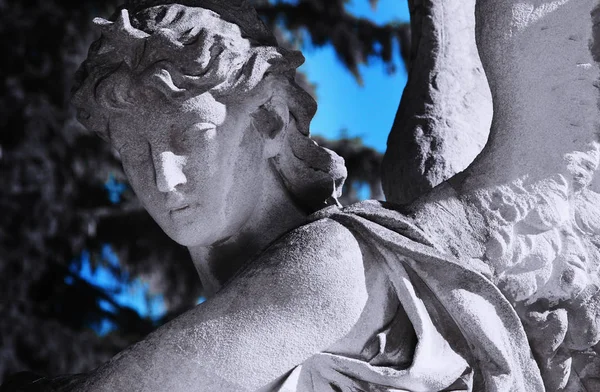 Diosa Del Amor Mitología Griega Afrodita Venus Mitología Romana —  Fotos de Stock