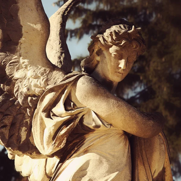 Ángel Luz Del Sol Estatua Antigua Ucrania Lviv Cementerios Lychakiv — Foto de Stock