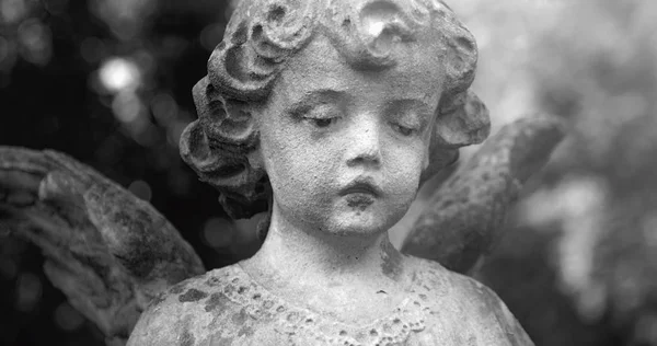 Vintage Image Sad Angel Background Leaves Details — Stock Photo, Image