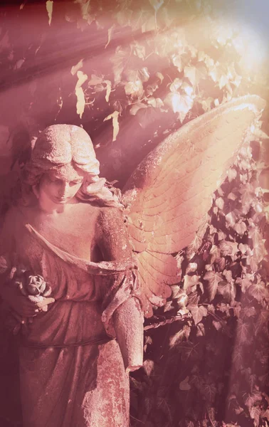 Ange Dans Lumière Soleil Statue Antique — Photo