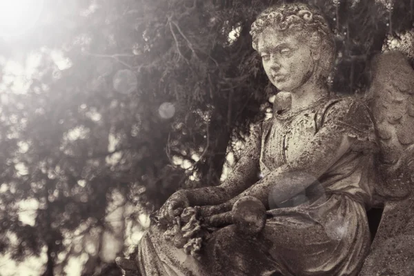 Vintage Image Sad Angel Cemetery Background Leaves Details — Stock Photo, Image