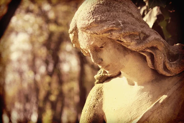 Vintage Image Sad Angel Cemetery Background Leaves Details — Stock Photo, Image