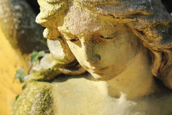 Vintage Image Sad Angel Cemetery Background Leaves Details — Stock Photo, Image