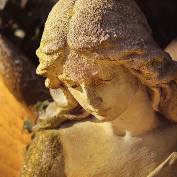 Beautiful Close Face Angel Marble Sculpture Sweet Expression Looks Fragment — Stock Photo, Image