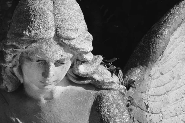 Каменный Ангел Черно Белом Цвете Детали — стоковое фото