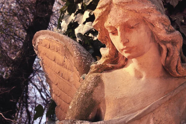 Strážný Anděl Křídly Jako Symbol Bezpečí Bezpečí — Stock fotografie