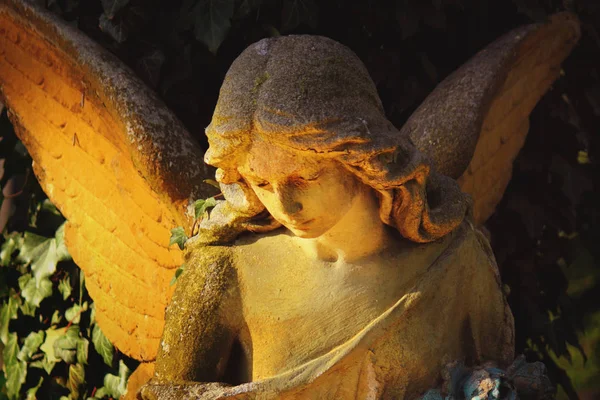 アンティーク像の天使 — ストック写真