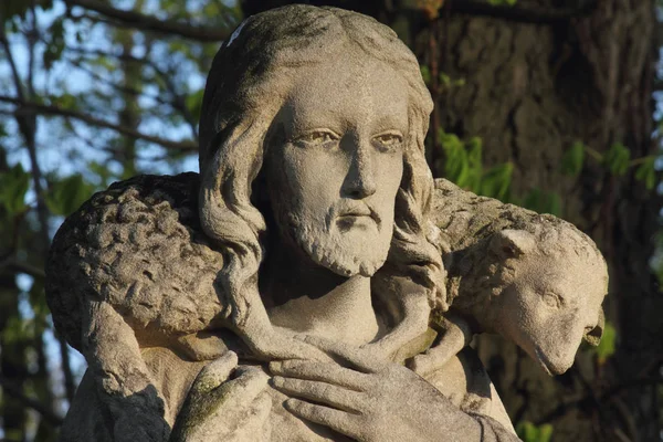 Jesus Cristo Bom Pastor Composição Arte Detalhes — Fotografia de Stock