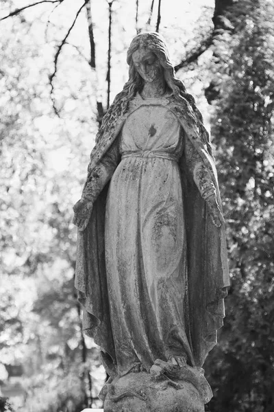 作为象征爱和仁慈的圣母玛利亚的雕像 — 图库照片