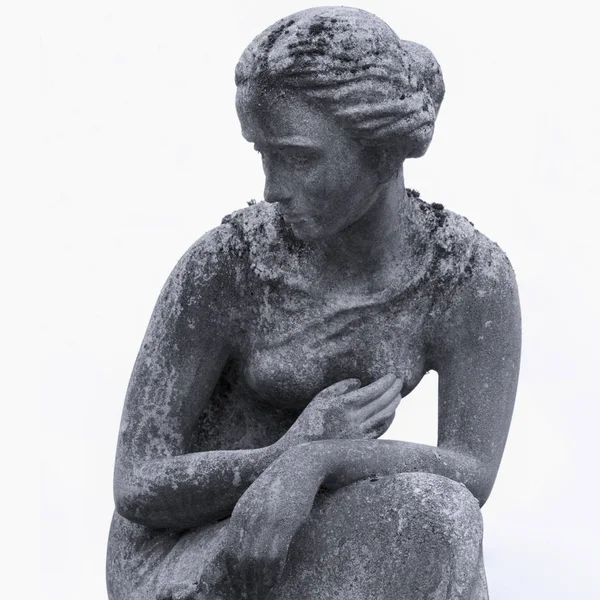 ギリシャ神話で アフロディーテ ビーナスはローマ神話で愛の女神 — ストック写真