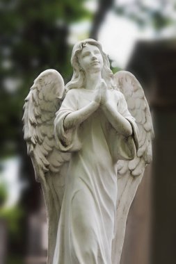 Bir mezarlık yaprakları (Ayrıntılar arka planı üzerinde üzgün bir melek Vintage görüntüsü)