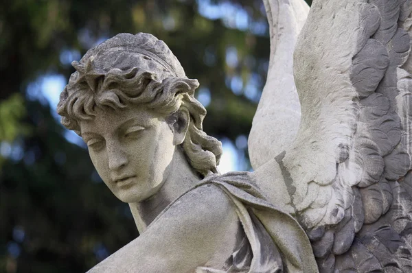Фігура Ангела Символ Любові Доброти Страждання — стокове фото