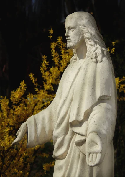 Statua Gesù Cristo Sullo Sfondo Scuro — Foto Stock