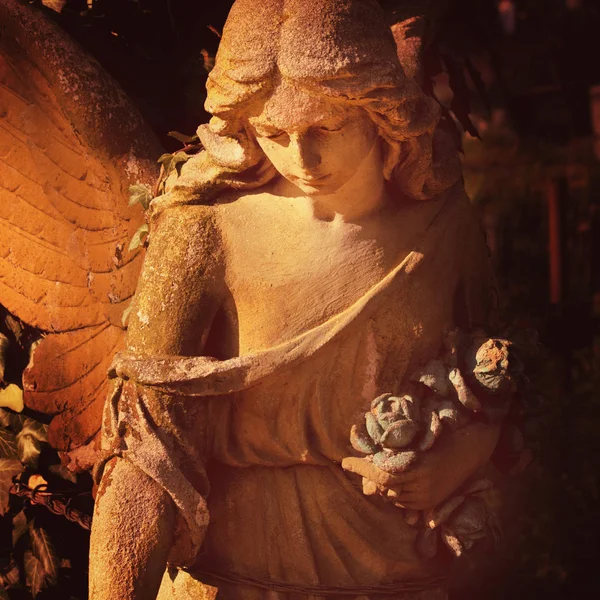 Rzeźba Anioła Złota Ciemnym Tle — Zdjęcie stockowe