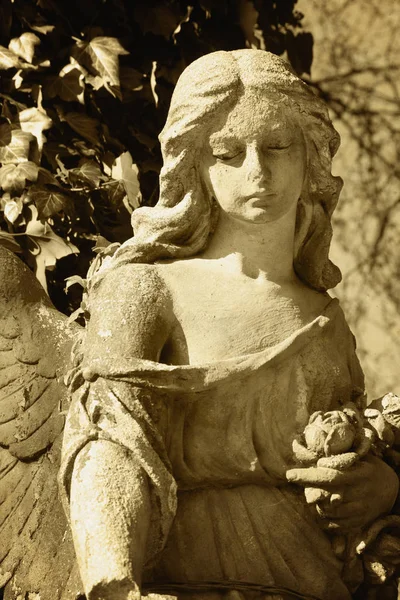 Imagem Vintage Anjo Triste Cemitério Contra Fundo Das Folhas Detalhes — Fotografia de Stock