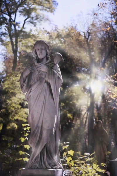 Jesus Christ - the Good Shepherd (statue in sunlight)