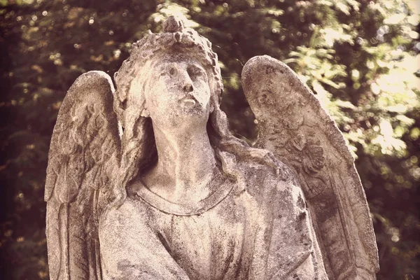 Estátua de pedra de anjo — Fotografia de Stock