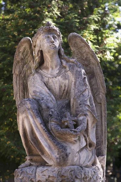 Estatua de piedra ángel —  Fotos de Stock