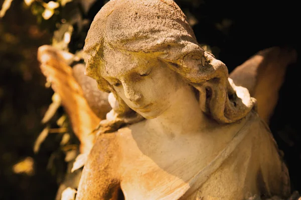 在阳光下 古董雕像的金色天使 — 图库照片