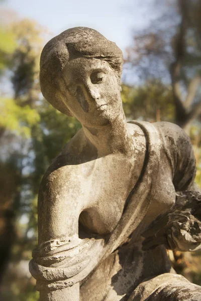 Богиня Кохання Грецькій Міфології Афродіта Венера Римській Міфології — стокове фото