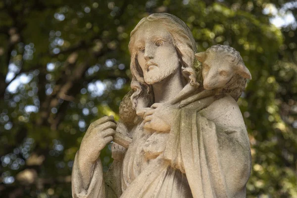 Jesus Cristo Bom Pastor Composição Arte Detalhes — Fotografia de Stock