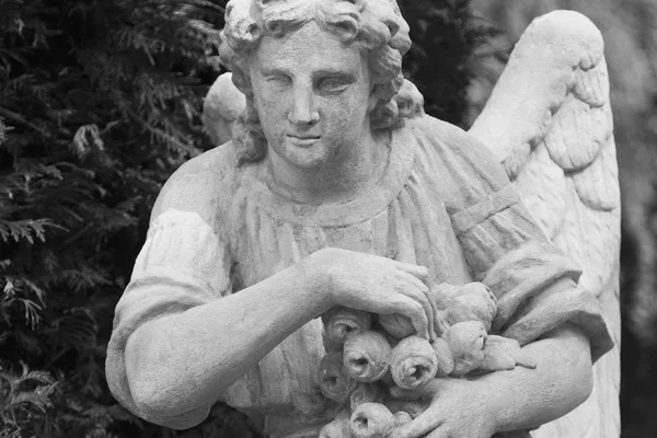 Sad Angel Symbol Eternity Life Death — Stock Photo, Image