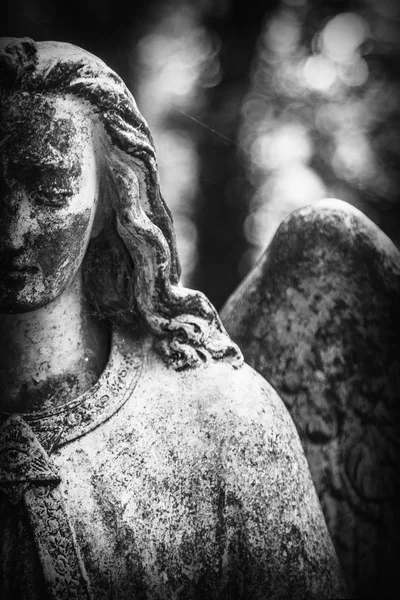 甘い表情で美しい天使大理石の彫刻が見下ろします 悲しい天使の Amtique 彫刻の断片 — ストック写真